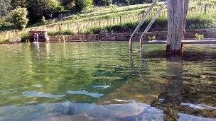 Piscine 1 o k