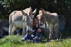 Bebes et compagnie 3