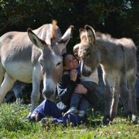 Bébés et compagnie