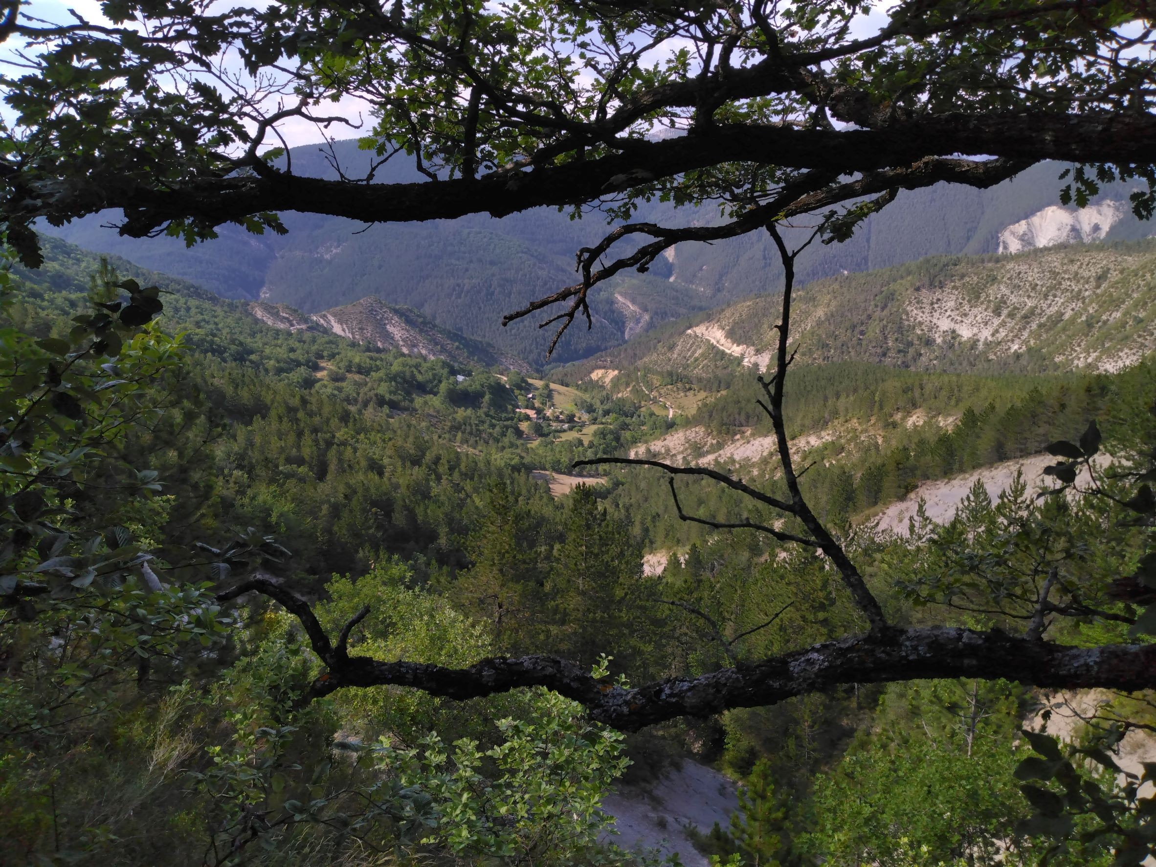 vue du parc