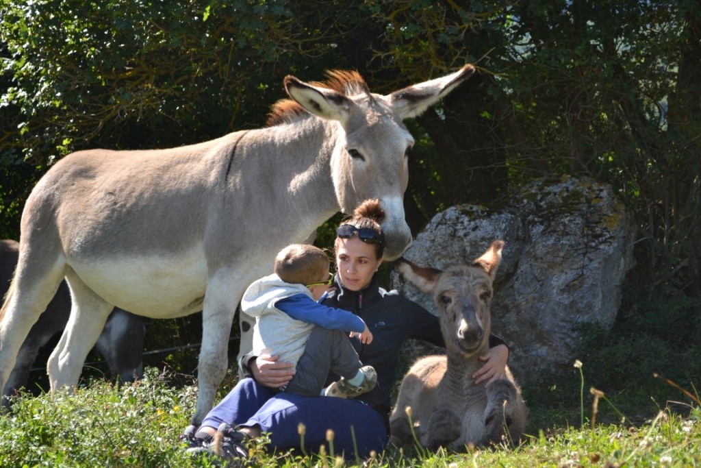 La famille est au complet 