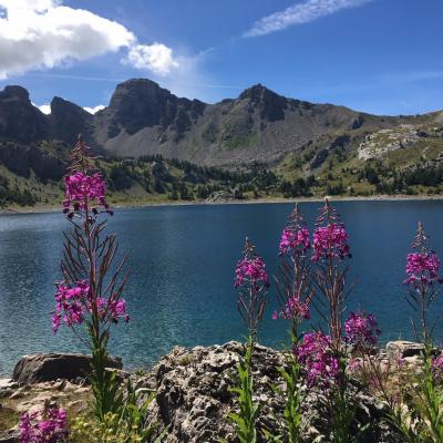 Lac d'Allos 