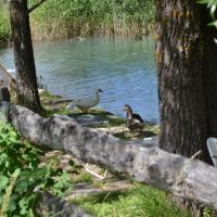 J esite entre relax et plongeon