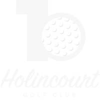Logo holincourt gris blanc