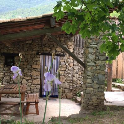 Terrasse miellerie 1